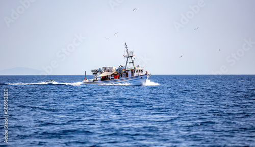 Fishing boat sail in Aegean sea. Gull swarm follow for food, Cyclades Greece.
