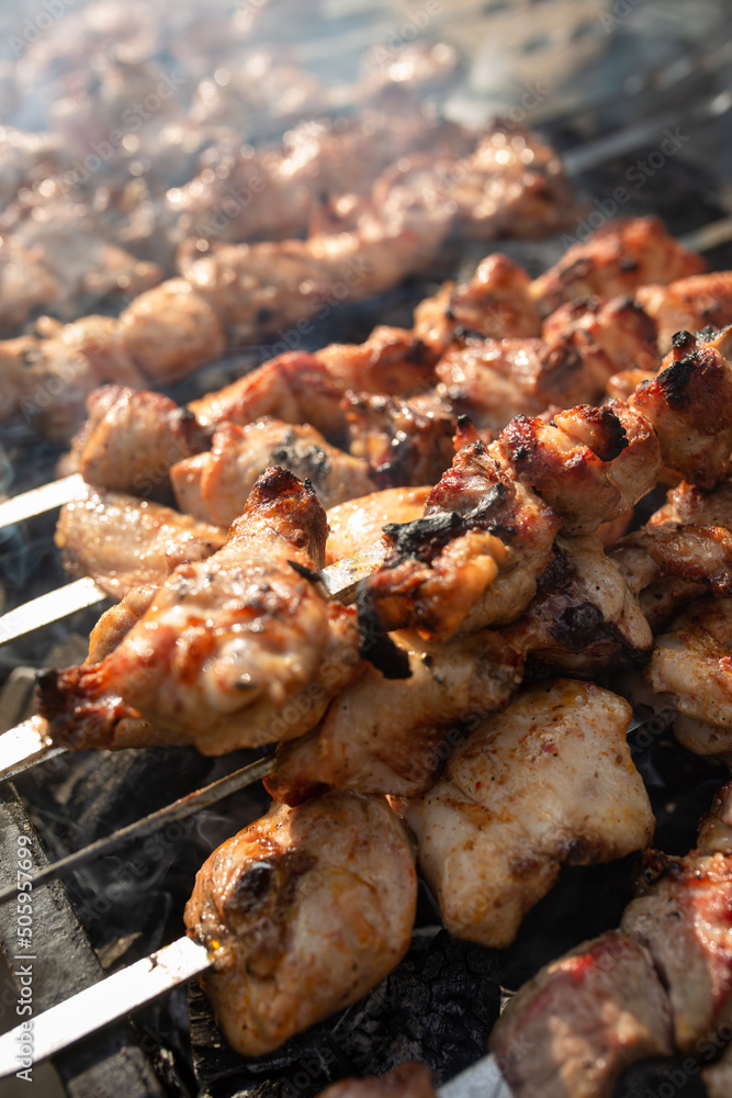 chicken shish kebab is grilled on the grill in nature
