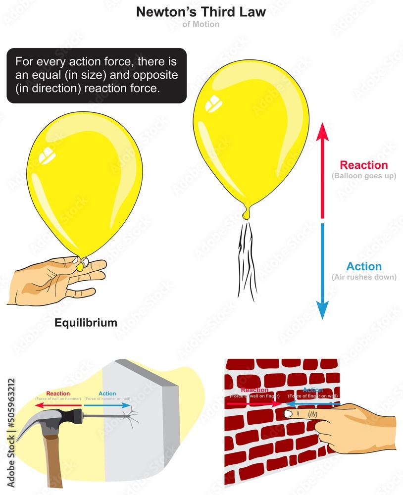 Newton Third Law Of Motion Infographic Diagram Example Balloon Hammer Nail Pressing Wall Action 9376