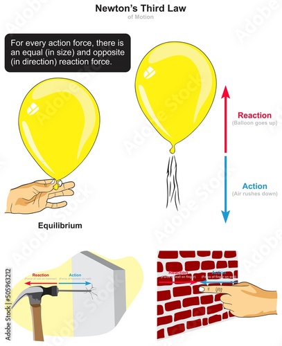 Newton third law of motion infographic diagram example balloon hammer nail pressing wall action force equal size opposite direction reaction physics dynamics mechanics science education vector