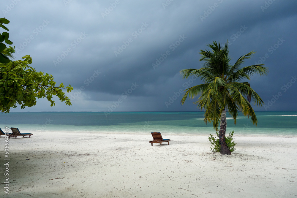 Palms on the beach near the ocean, Maldives paradise 