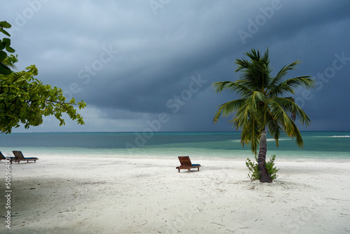 Fototapeta Naklejka Na Ścianę i Meble -  Palms on the beach near the ocean, Maldives paradise 