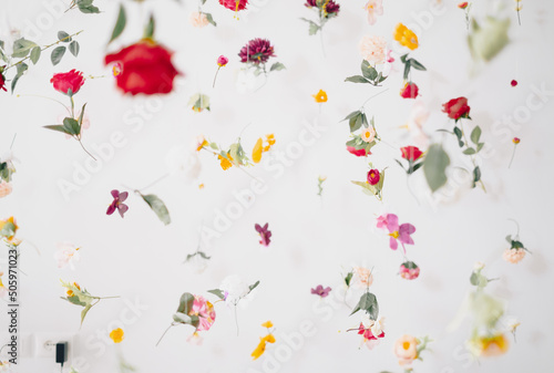 Floral pattern on white background levitating flowers. photo