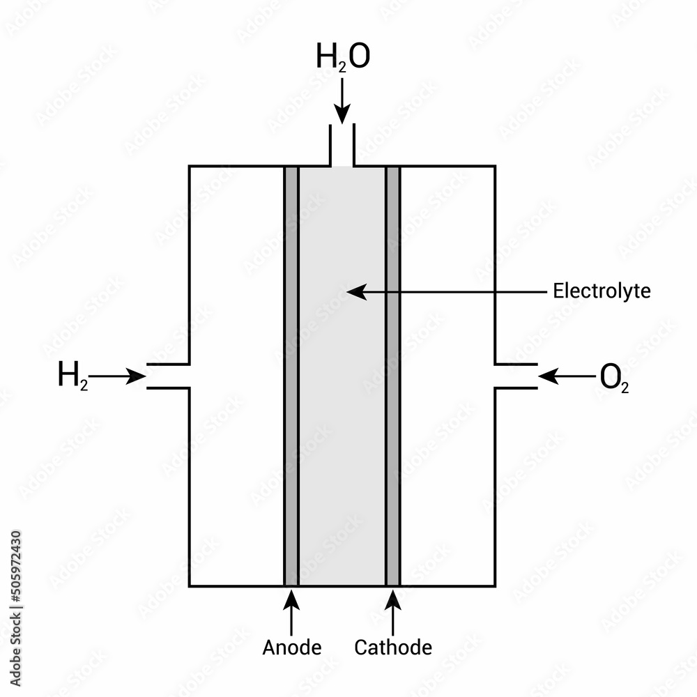 fuel cell diagram using H2 and O2 produce electricity vector de Stock Adobe Stock