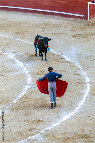 A bullfighter awaiting for the bull in the Plaza de Toros de Valencia