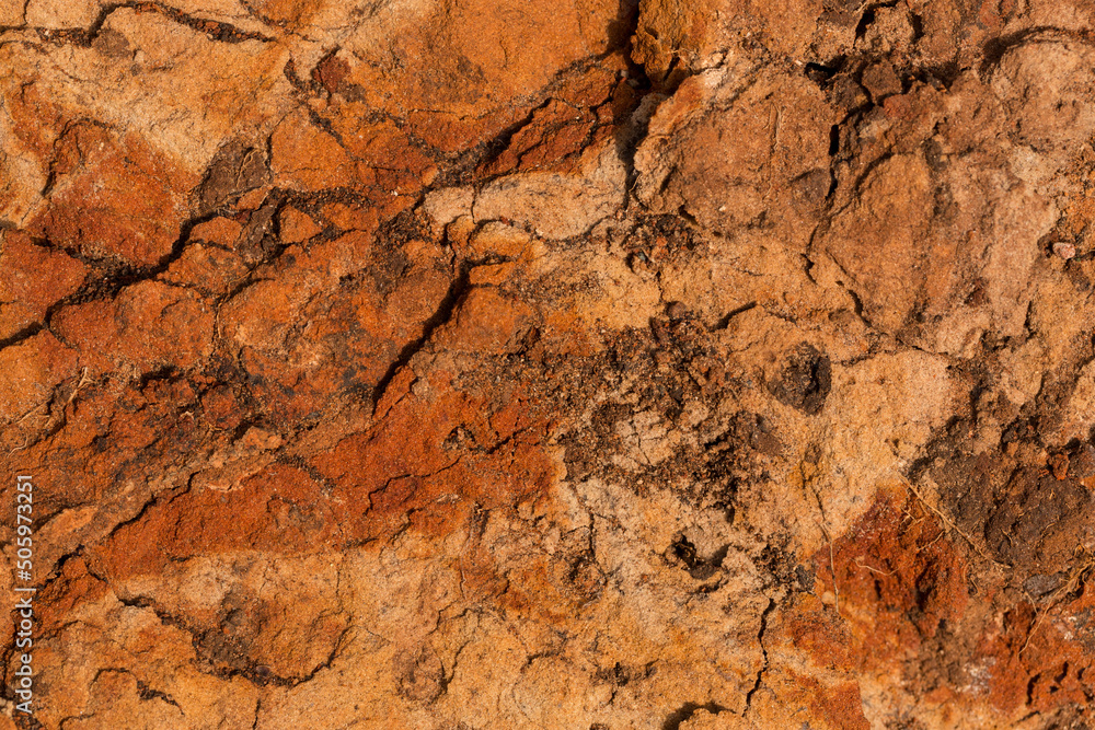 Sedimentary rocks with a high content of iron oxide. Red soil, loam. The texture of the soil. Sedimentary rocks with a high content of iron oxide. Red soil, loam. The texture of the soil.