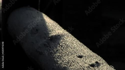 Wood Fence during Frosty Morning in Gaiman, Patagonia, Argentina. Close Up.   photo