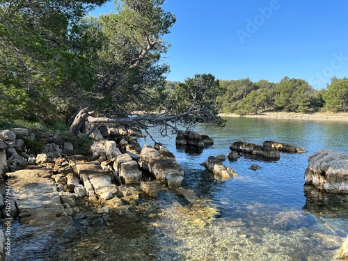 Rocky coast of the island of   iovo in central Dalmatia  Croatia