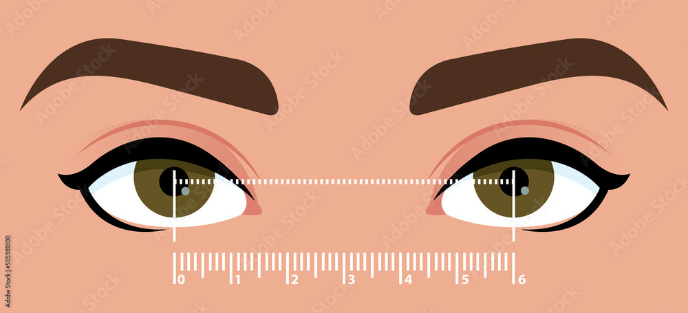Interpupillary distance measurement template. Stylized close up of the ...