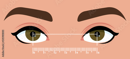 Interpupillary distance measurement template. Stylized close up of the eyes to determine the distance between the eyes. Help for the selection of the size of glasses. Vector illustration