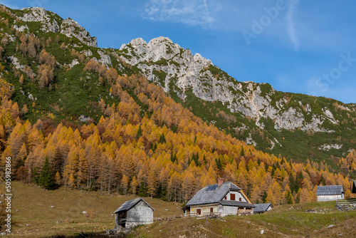  Konjščica alpine meadow photo