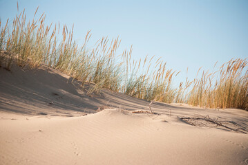 Keuken achterwand Duingras Zandduin met gras onder blauwe lucht  © andrecvs