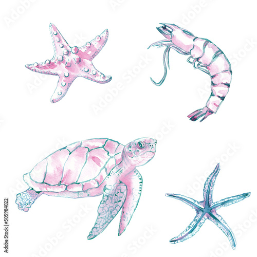 Watercolor seastars, turtle, shrimp illustration isolated on white. Hand painted fish clipart. Ocean animals, sea life creauters, marine, nautical decor in pink, blue and emeral green colors. 