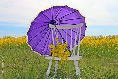 umbrella on a meadow