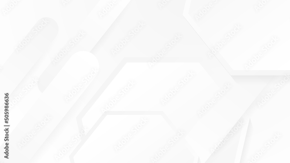 Fototapeta premium Grey white abstract background paper shine and layer element vector for presentation design. Suit for business, corporate, institution, party, festive, seminar, and talks.