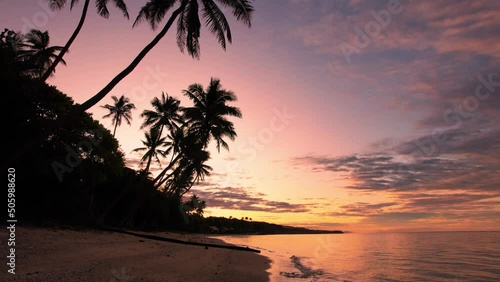 Fiji tropical paradise warm orange sunrise beach palm trees - Aerial footage
