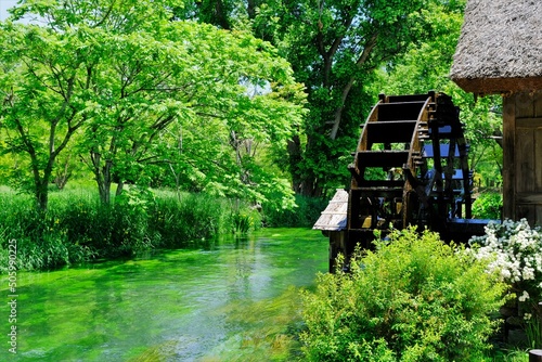 Canvastavla 水車のある安曇野の原風景