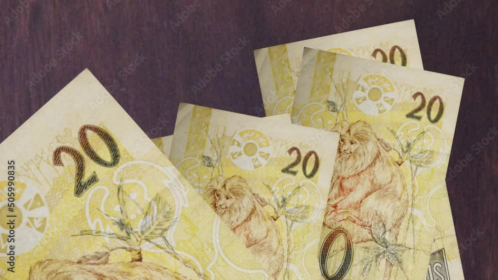 animation for economics and finance themes with brazilian money animation for economics and finance themes with brazilian money