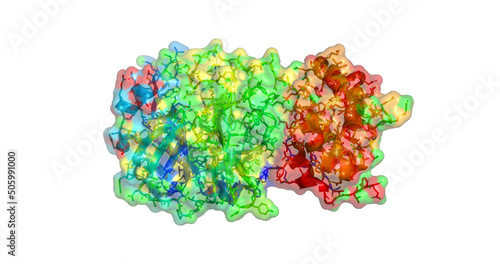 COVID-19 main protease, 3D molecule
 photo