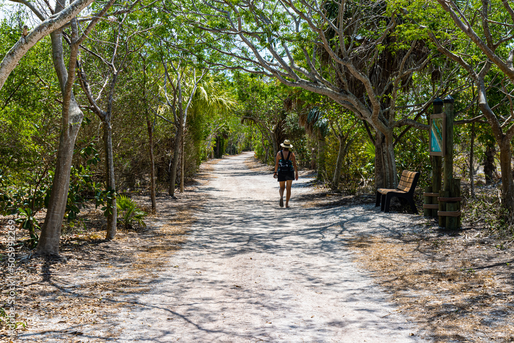 Fototapeta premium Female Hiker on Nature Trail on Bowmans Beach, Sanibel Island, Florida, USA