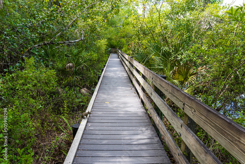 The Slew Walkway Beside Gator Lake  Six Mile Cypress Slough  Nature Preserve  Fort Myers  Florida  USA