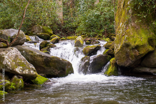 Mossy Pool Close