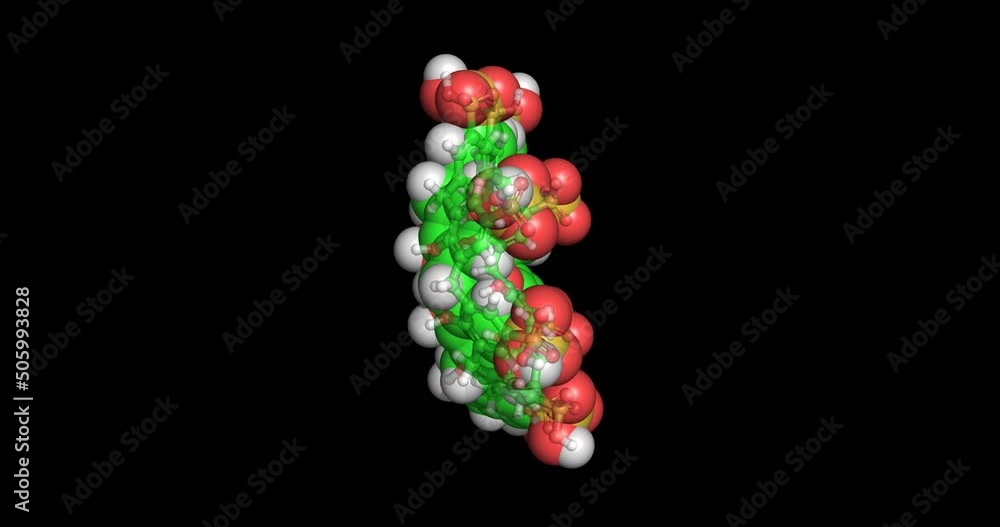 Sugammadex molecule, 4K Sugammadex molecule, 4K