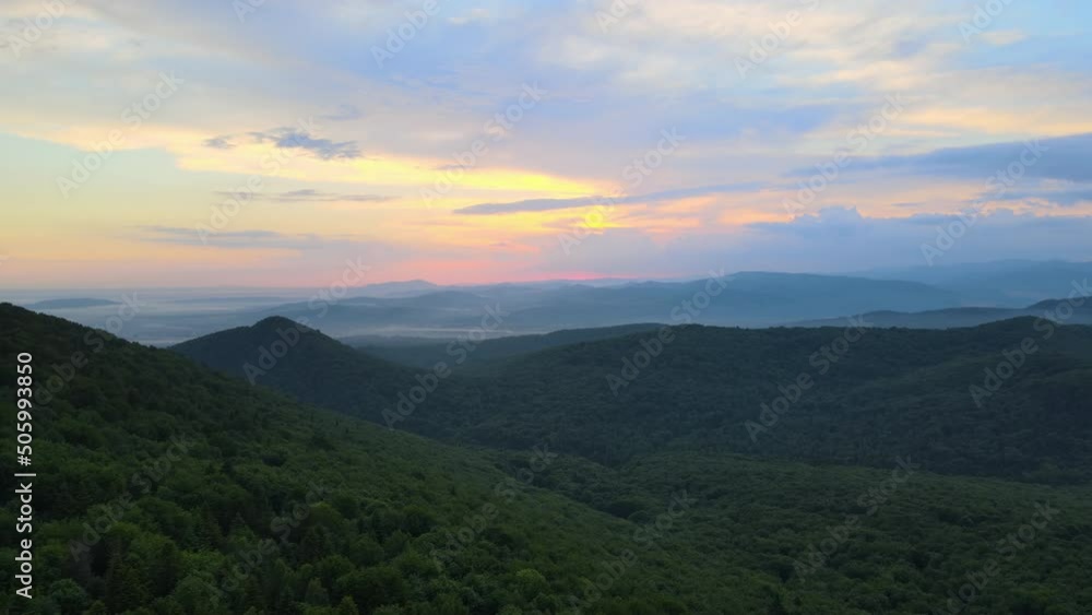 Aerial view of green pine forest with dark spruce trees covering mountain hills at sunset. Nothern woodland scenery from above Aerial view of green pine forest with dark spruce trees covering mountain hills at sunset. Nothern woodland scenery from above