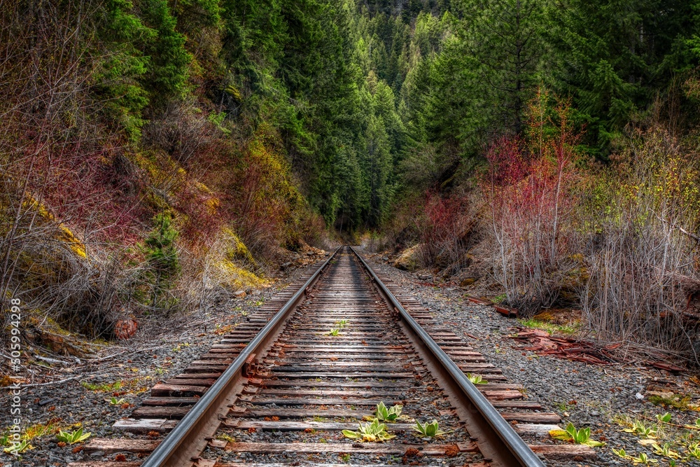 Fototapeta premium Railroad tracks heading into the forest