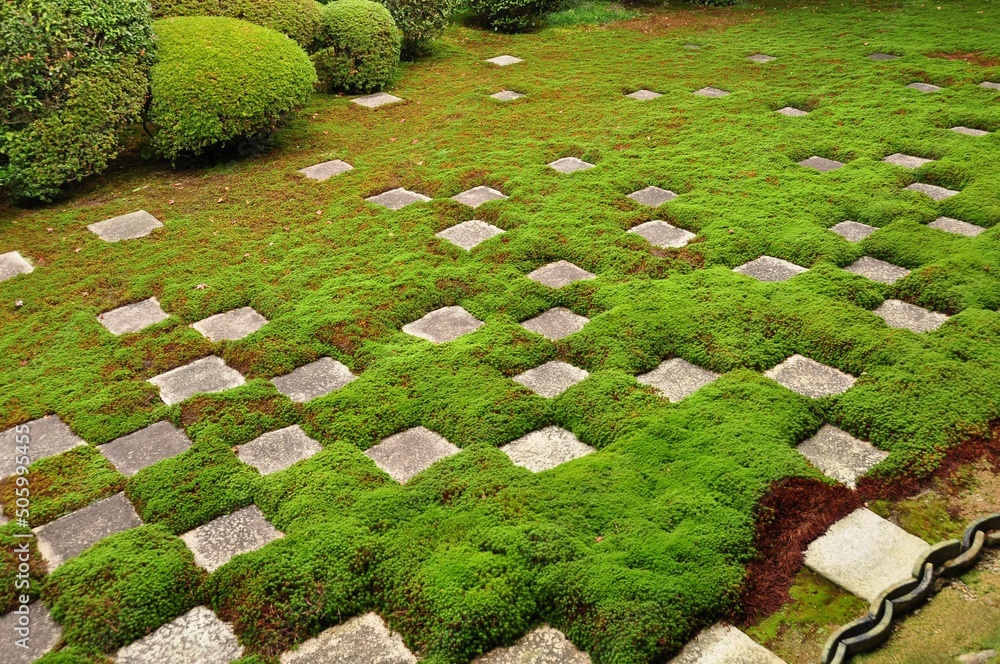 stone path in garden stone path in garden