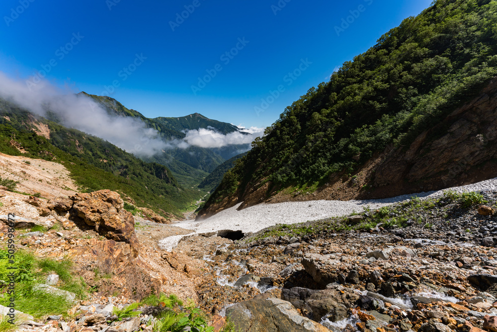 針ノ木岳　後立山連峰　雪渓