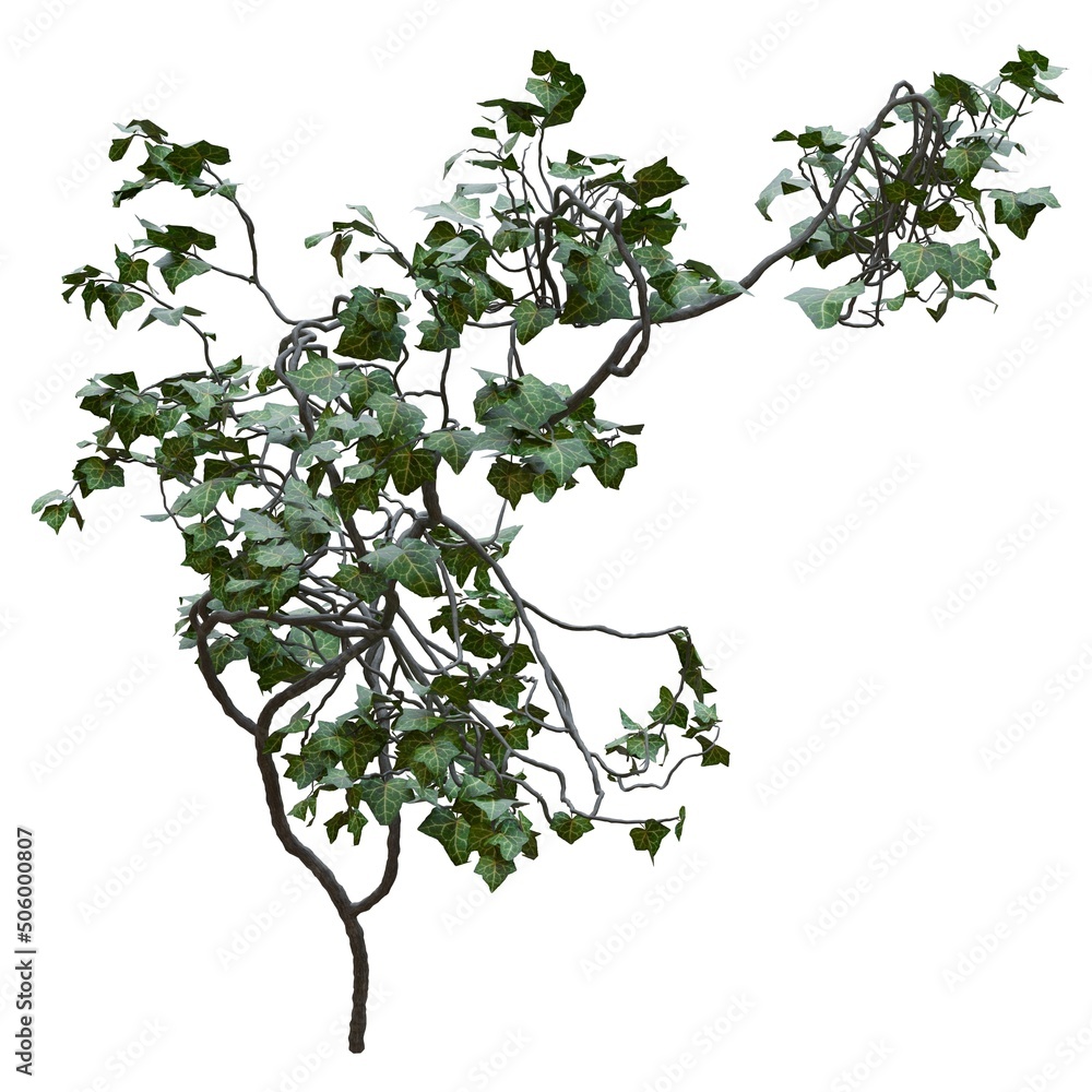 Climbing plants creepers vine isolated on white background 3d illustration Climbing plants creepers vine isolated on white background 3d illustration
