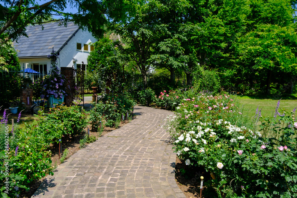 Naklejka premium ローザンベリー多和田 バラの庭園