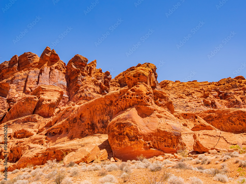 Fototapeta premium Sunny view of the landscape of Valley of Fire State Park