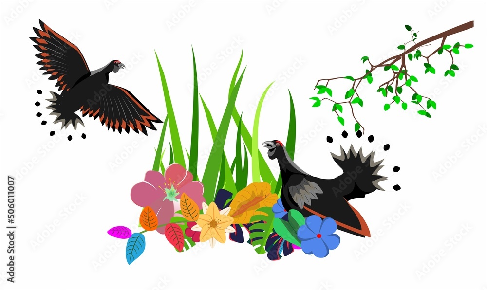 capercaillie black grouses birds and forest plants vector nature wild composition on white vector