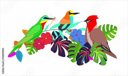 bee-eater, waxwing and kingfisher birds and forest plants vector nature wild composition on white vector