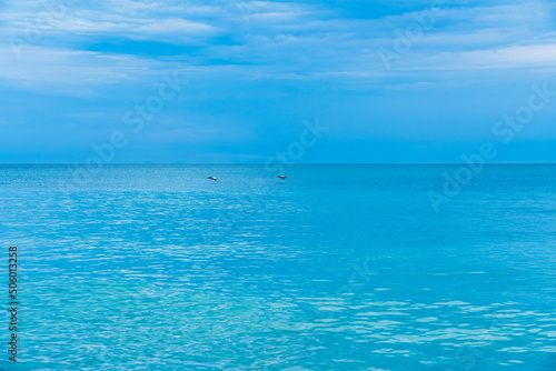 The turquoise Atlantic Ocean reflects the blue sky with pelicans flying in the distance.