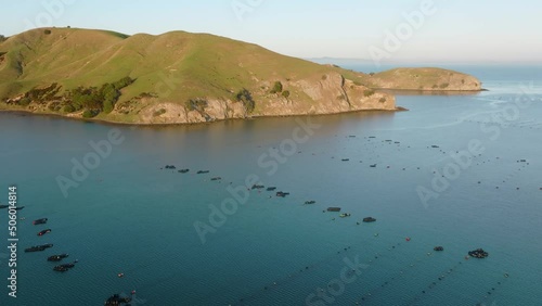 Aerial: Coromandel peninsula mussel farms, New Zealand