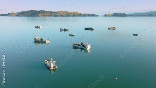 Mussel boats at anchor, coromandel peninsula, New Zealand