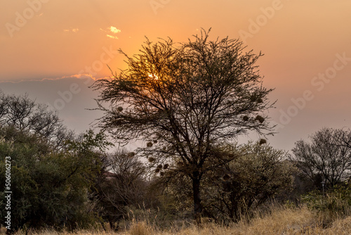 Sunset on the African savannah, in Namibia