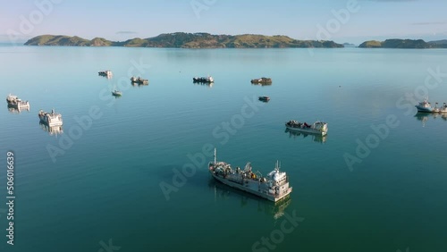 Mussel boats at anchor, coromandel peninsula, New Zealand