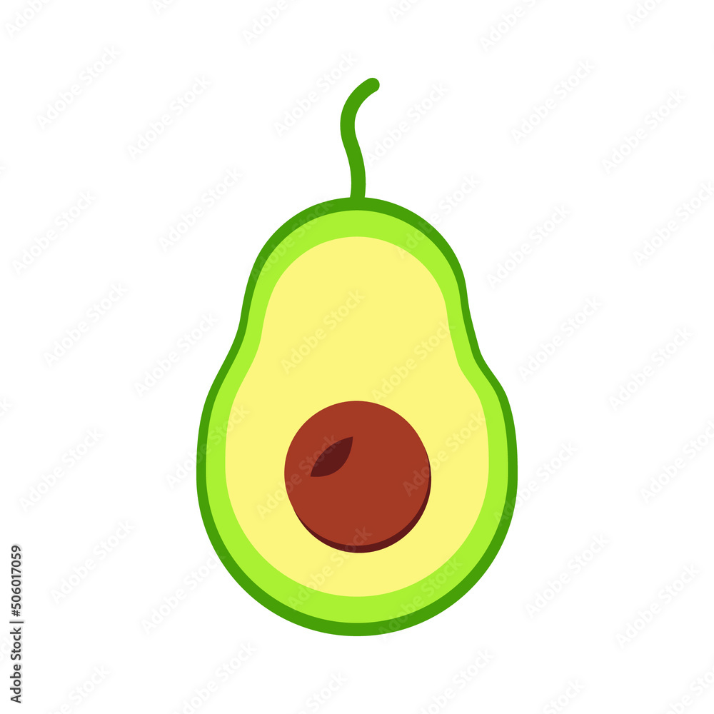flat vector of avocado fruit and its seeds seen from the inside flat vector of avocado fruit and its seeds seen from the inside