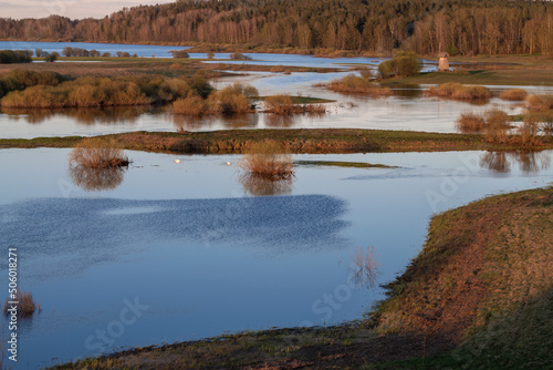 Spring flood of the river Sorot on May evening. Pushkin Mountains. Pskov region, Russia photo