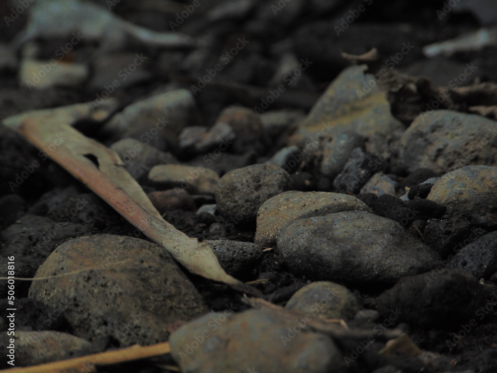 the rocks across the river, there are tree branches and dry tree leaves. Very suitable for activities related to nature