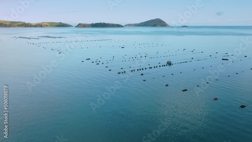 Aerial: Coromandel peninsula mussel farms, New Zealand