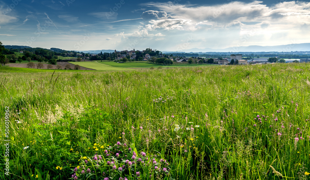 view of the picturesque and historic town of Avenches with a wildflower meadow in the foreground