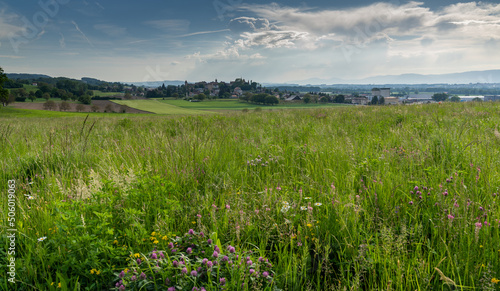 view of the picturesque and historic town of Avenches with a wildflower meadow in the foreground