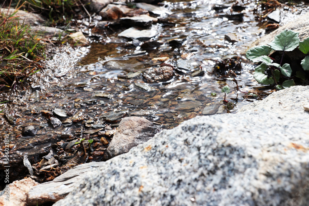 Wild creek Wild creek
