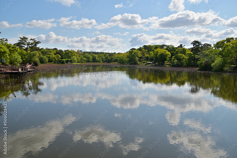 若葉が繁る林に囲まれた池の水面に、青空と雲が綺麗に映り込んでいる池の風景