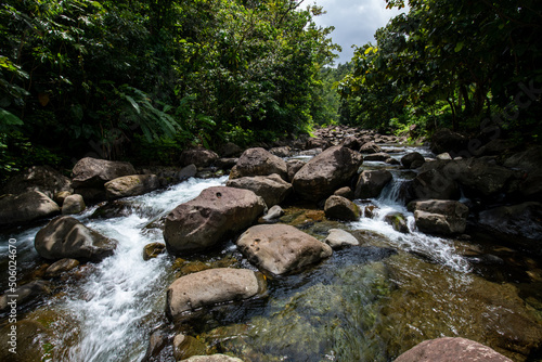 Dominica river